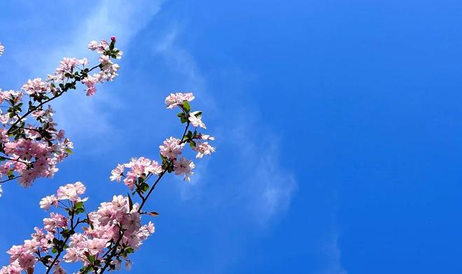 婚姻细节判断能否过下去_情感问题_沟通细节看感情是否消逝