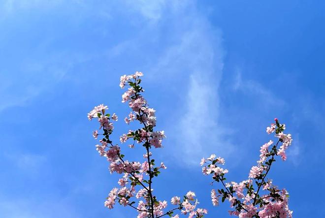 情感问题_婚姻细节判断能否过下去_沟通细节看感情是否消逝
