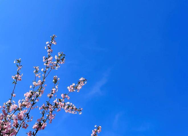 婚姻细节判断能否过下去_沟通细节看感情是否消逝_情感问题